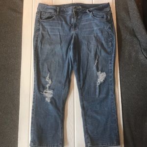 Lane Bryant Jean Capri